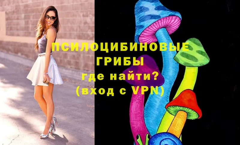 Галлюциногенные грибы ЛСД  shop состав  Ладушкин 